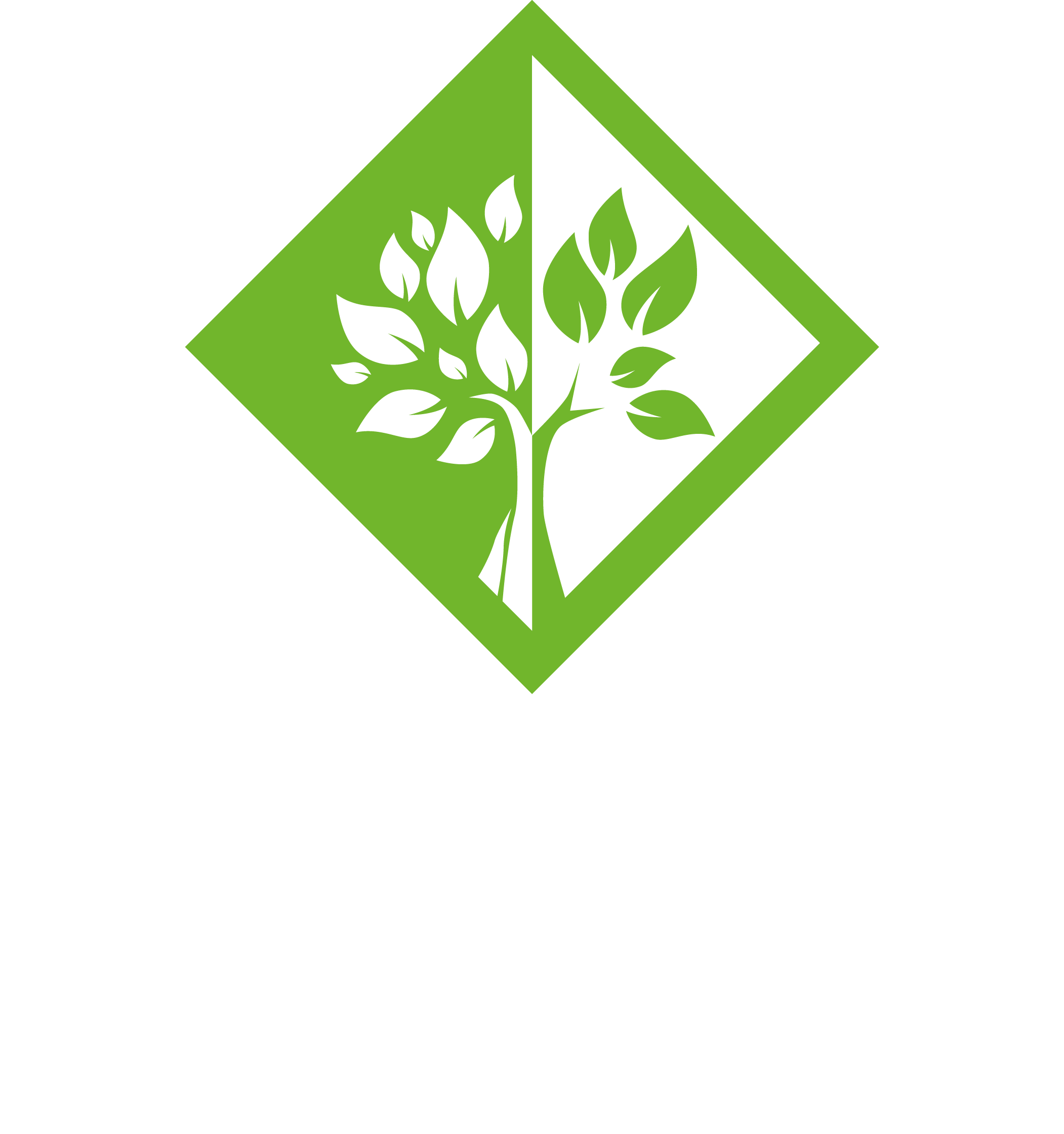 Atlanta Landscape Architect Urban Water Gardens